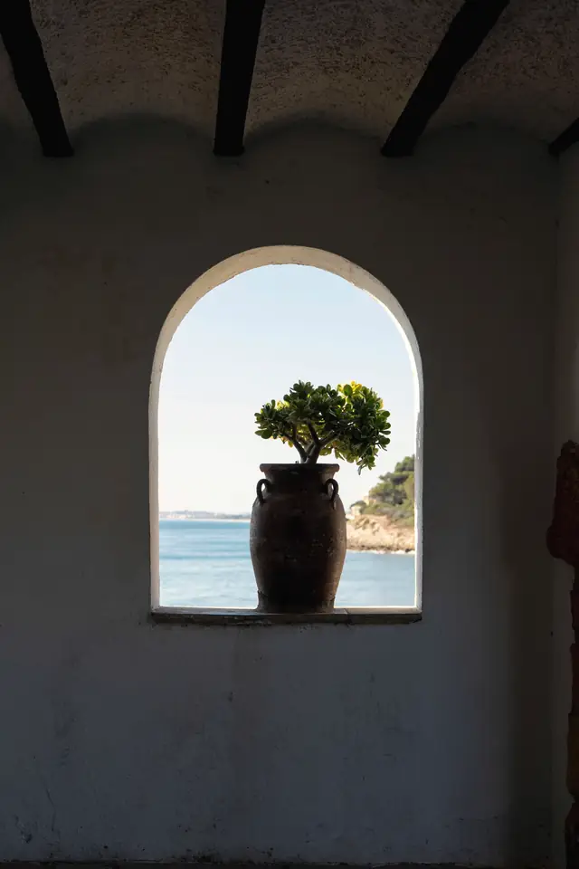 Potted plant in an arched window framing the sea in a dark beamed room