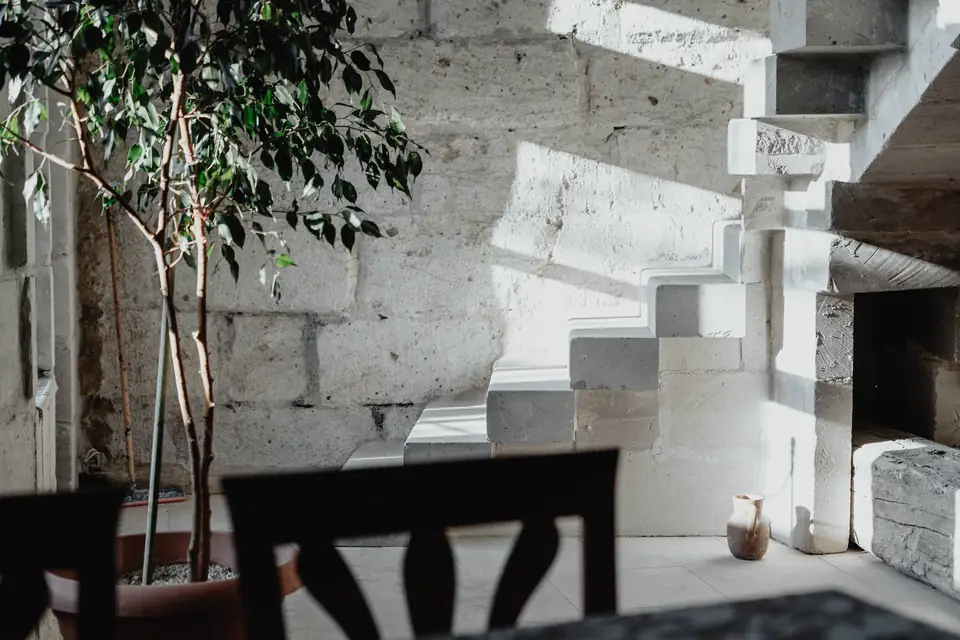 Sunlit room with limestone walls, a white stair and an indoor tree
